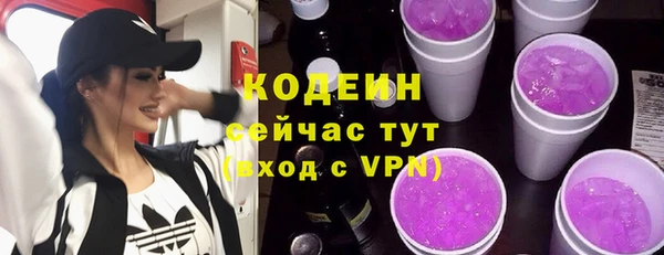 винт Няндома