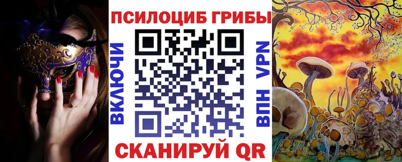 Галлюциногенные грибы мицелий  площадка состав  Суоярви 